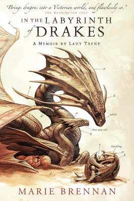 Book cover for In the Labyrinth of Drakes