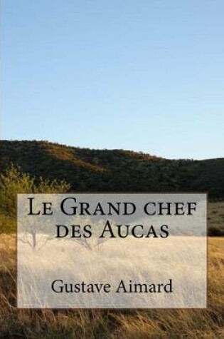 Cover of Le Grand chef des Aucas