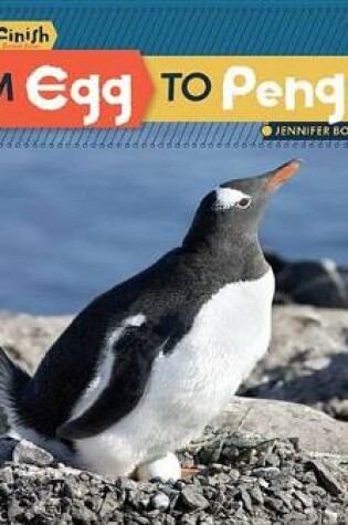 Cover of From Egg to Penguin