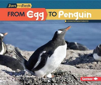 Cover of From Egg to Penguin