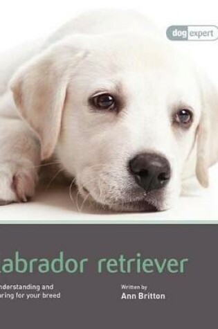 Cover of Labrador - Dog Expert