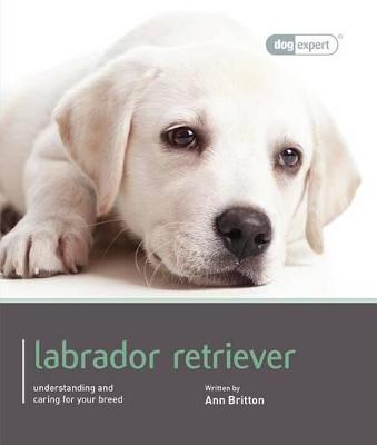 Book cover for Labrador - Dog Expert