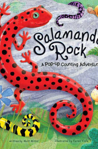 Cover of Salamander Rock