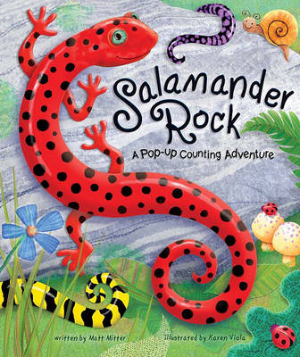 Book cover for Salamander Rock