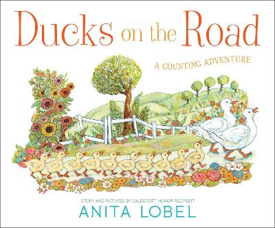 Book cover for Ducks on the Road