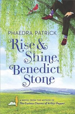 Book cover for Rise and Shine, Benedict Stone