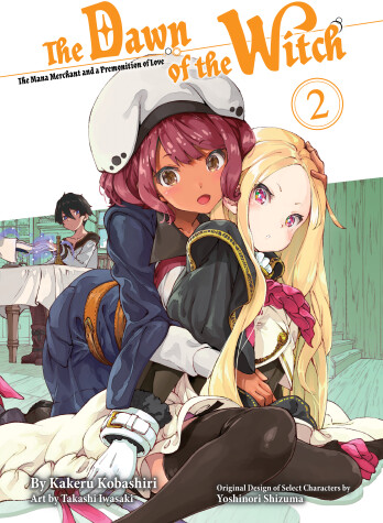 Cover of The Dawn of the Witch 2 (light novel)