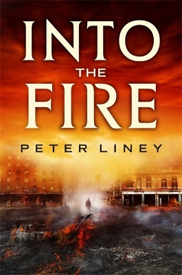 Book cover for Into The Fire