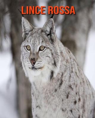 Book cover for Lince rossa