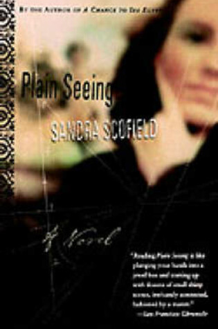 Cover of Plain Seeing