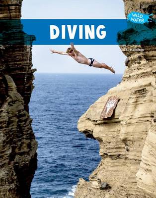 Book cover for Diving