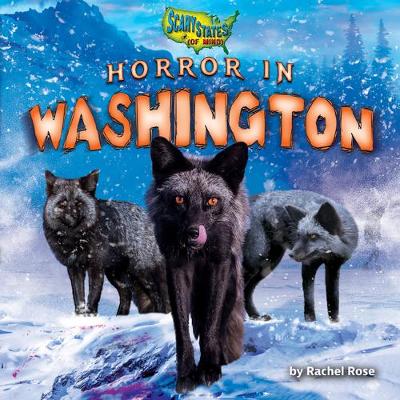 Book cover for Horror in Washington