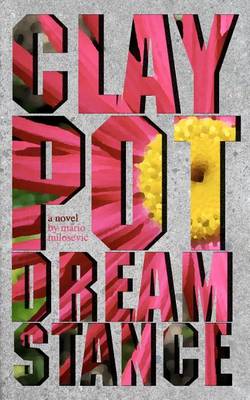 Book cover for Claypot Dreamstance