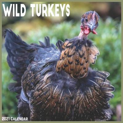 Book cover for Wild Turkeys calendar 2021