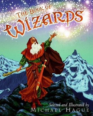 Book cover for The Book of Wizards