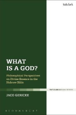 Cover of What is a God?