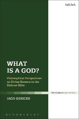 Cover of What is a God?