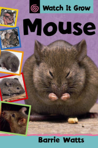 Cover of Watch It Grow: Mouse