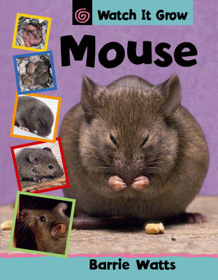 Book cover for Watch It Grow: Mouse