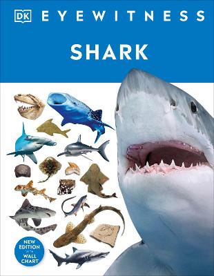 Cover of Shark