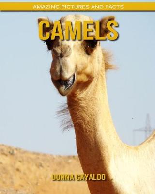 Book cover for Camels