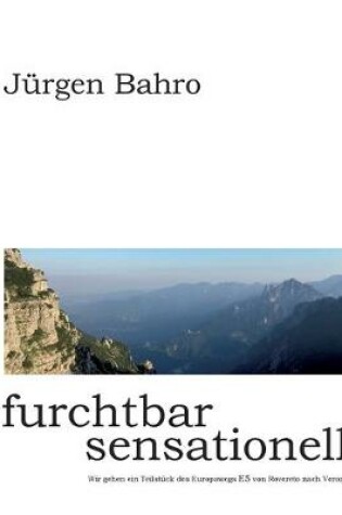 Cover of furchtbar sensationell