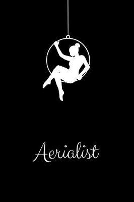 Book cover for Aerialist