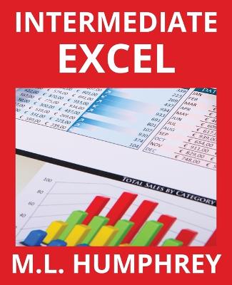 Book cover for Intermediate Excel