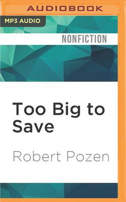 Book cover for Too Big to Save