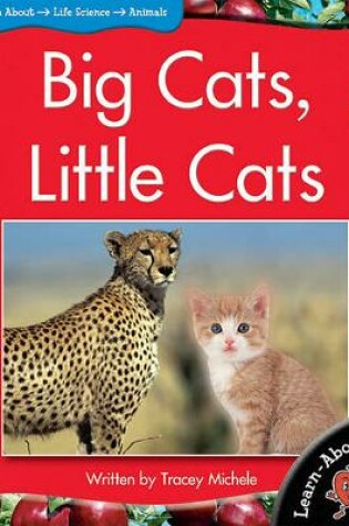 Cover of Lab Lvl9 Big Cats Little Cats