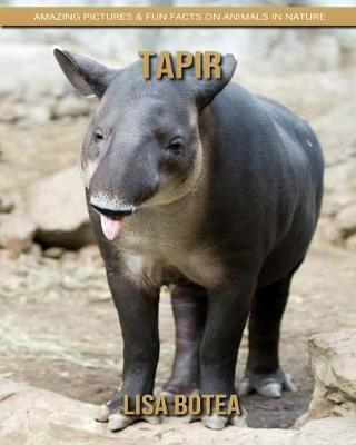 Book cover for Tapir