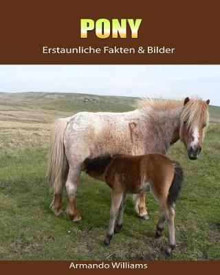 Book cover for Pony