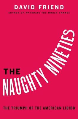 Book cover for The Naughty Nineties