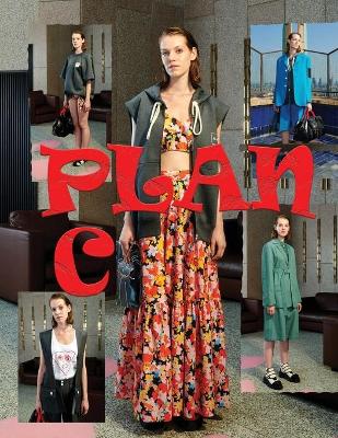 Book cover for Plan C