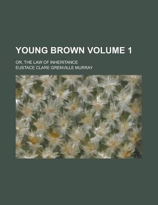 Book cover for Young Brown; Or, the Law of Inheritance Volume 1