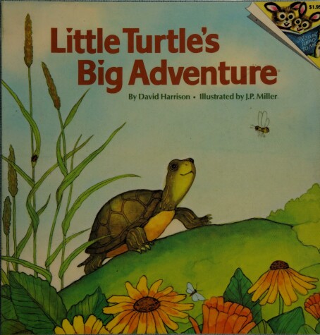 Book cover for Little Turtle's Big Adventure