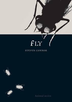 Cover of Fly