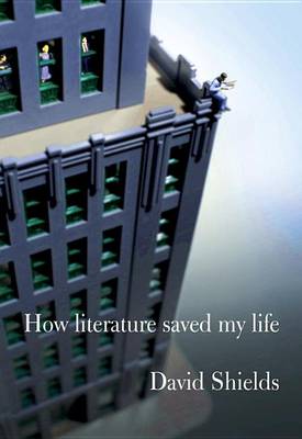 Book cover for How Literature Saved My Life