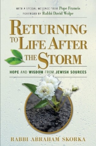 Cover of Returning to Life After the Storm