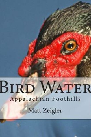 Cover of Bird Water