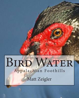 Book cover for Bird Water