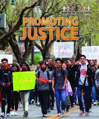 Book cover for Promoting Justice