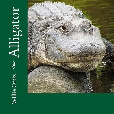 Book cover for Alligator