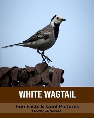 Book cover for White Wagtail