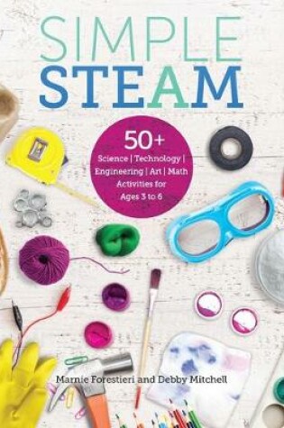 Cover of Simple Steam