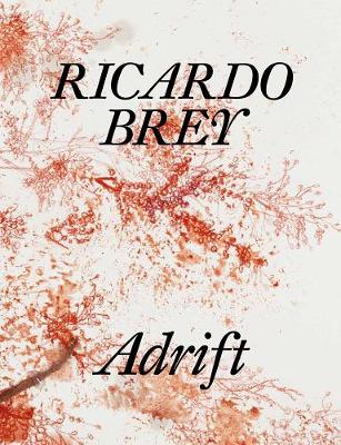 Book cover for Ricardo Brey