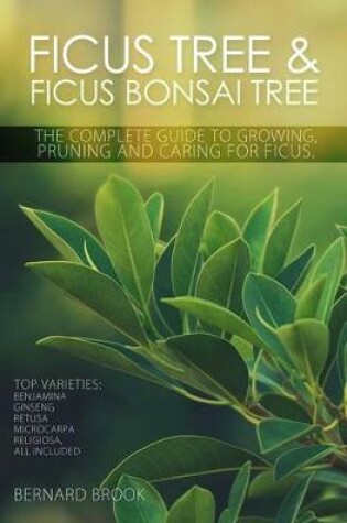 Cover of Ficus Tree and Ficus Bonsai Tree. the Complete Guide to Growing, Pruning and Caring for Ficus. Top Varieties