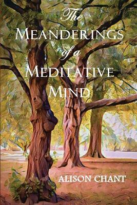 Book cover for The Meanderings of a Meditative Mind