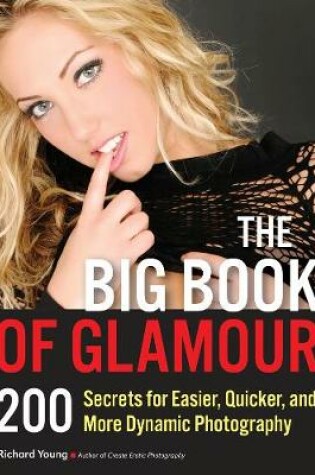 Cover of The Big Book Of Glamour