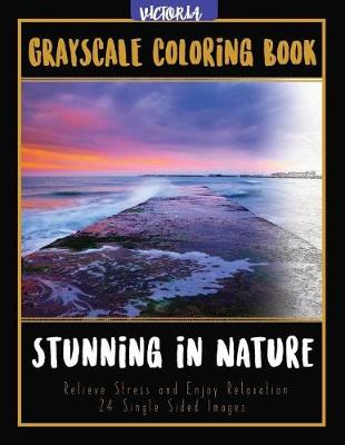 Book cover for Stunning in Nature